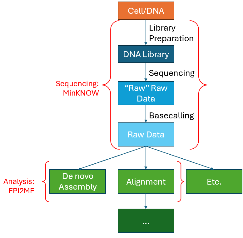 Basic Workflow